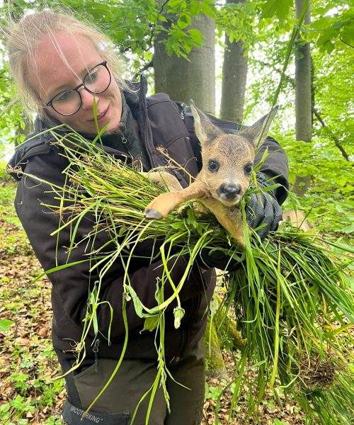 Für die Anschaffung einer Drohne für die Rehkitzrettung für Hegering Stedingen wurde die Jägerschaft des Landkreises Wesermarsch e. V. mit insgesamt 2.500 Euro unterstützt.